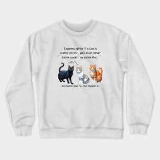 Experts agree if a cat is asleep on you, you must never move until they move first - funny watercolour cat design Crewneck Sweatshirt